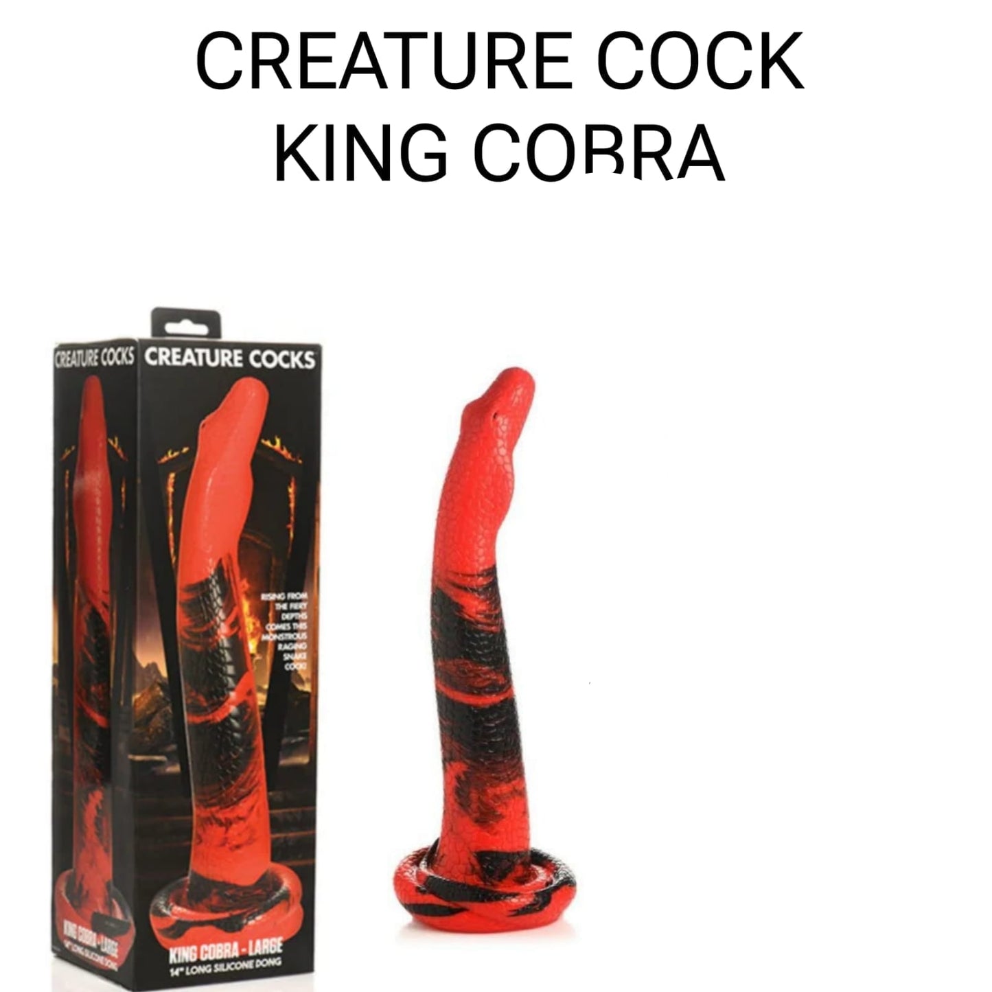 https://sexshopmatamoros.com/wp-content/uploads/2024/10/19-1.jpg
